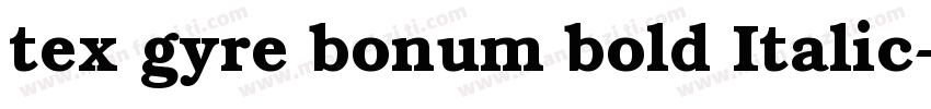 tex gyre bonum bold Italic字体转换